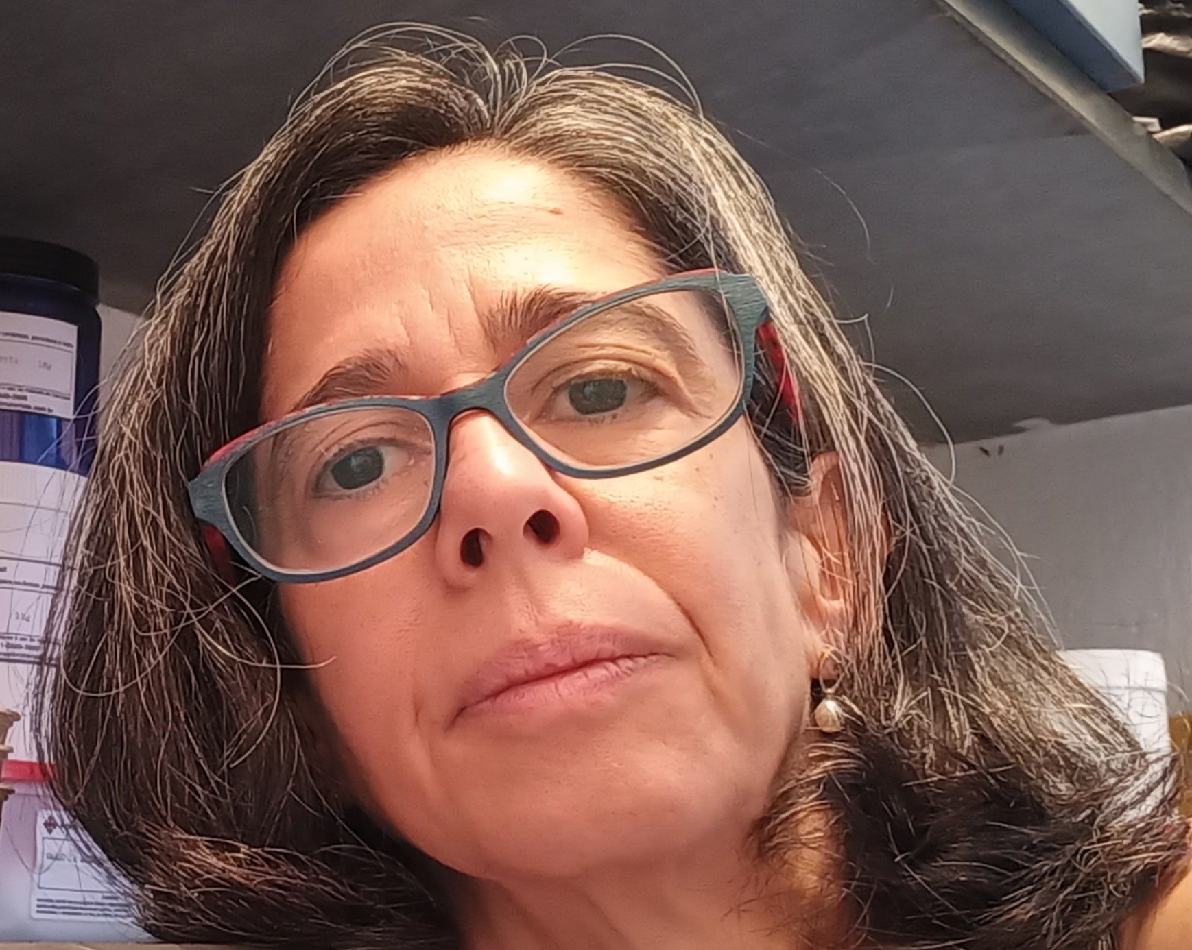 Elaine Godoy Labanca